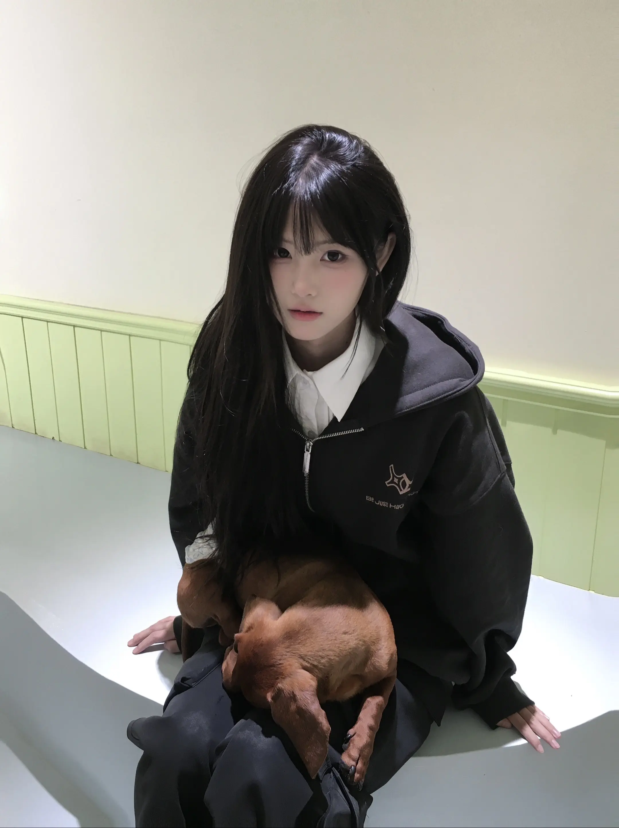 奇怪你爱小狗