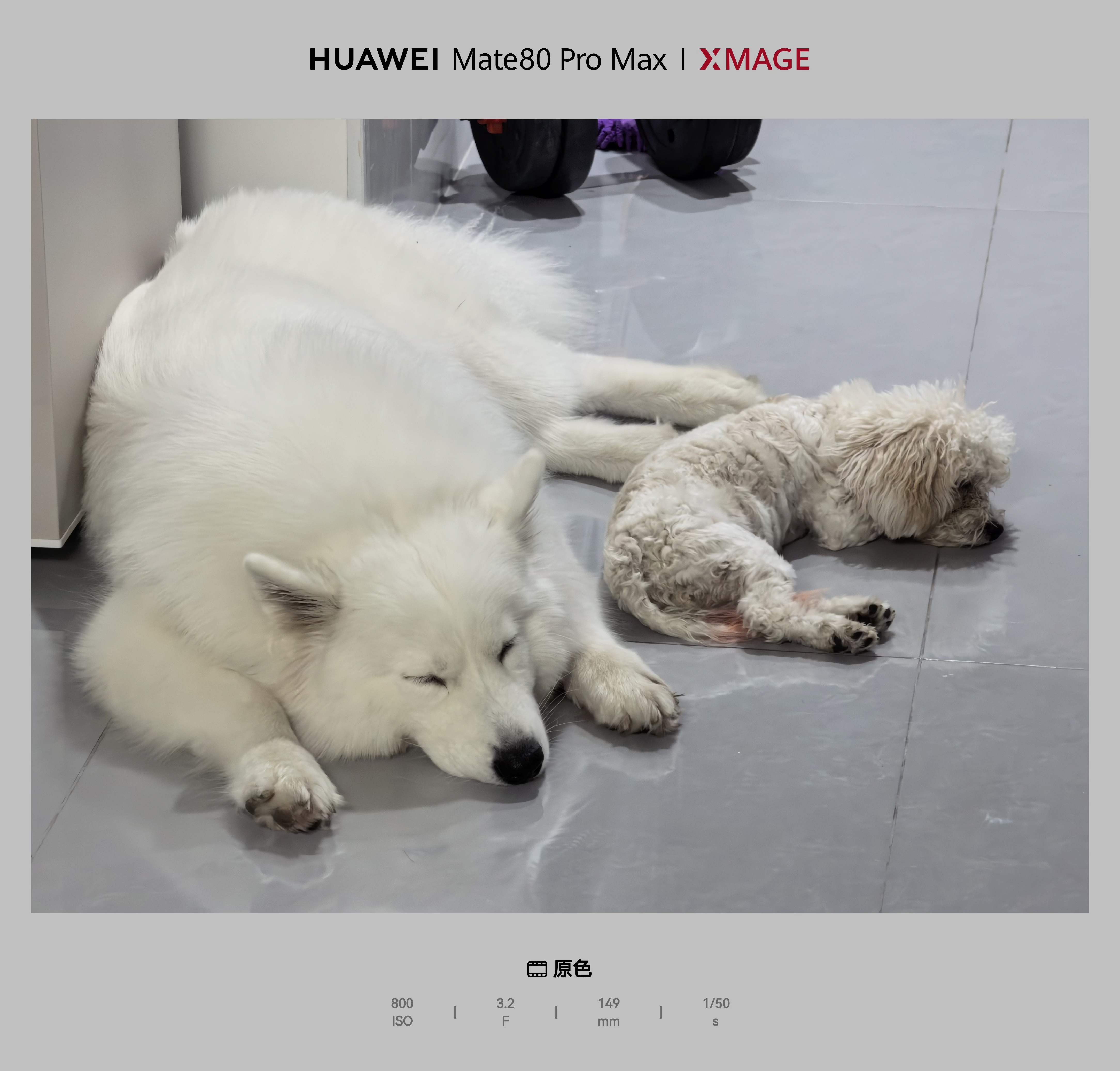 昨日、今日的两只魔丸 ~ 日常数码研习社