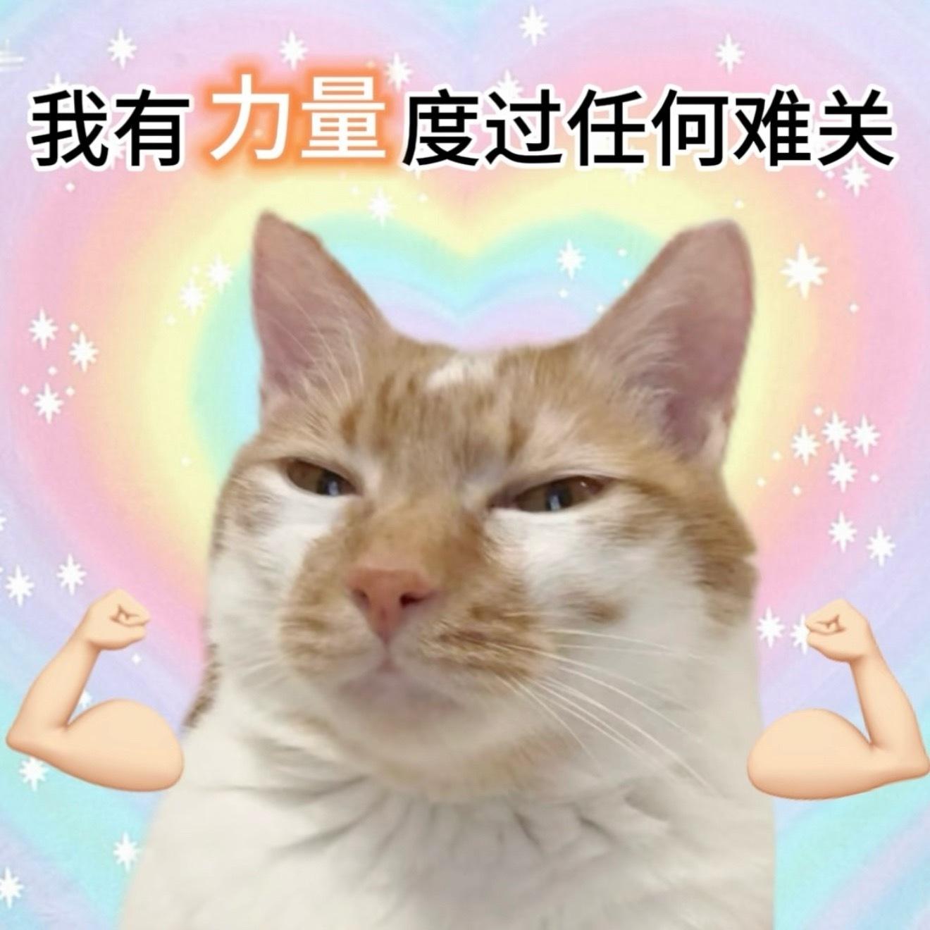 打卡楼