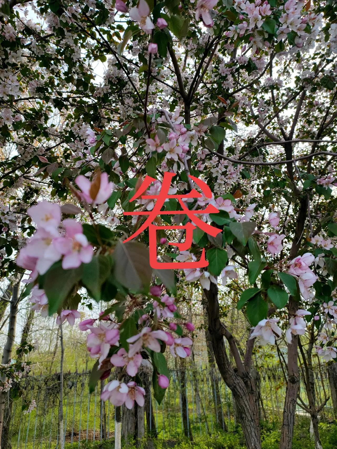 折扣店开始卷起来了
折扣店开始进驻小区了
直接批发价卖饮料
卖零食
卖生活用品