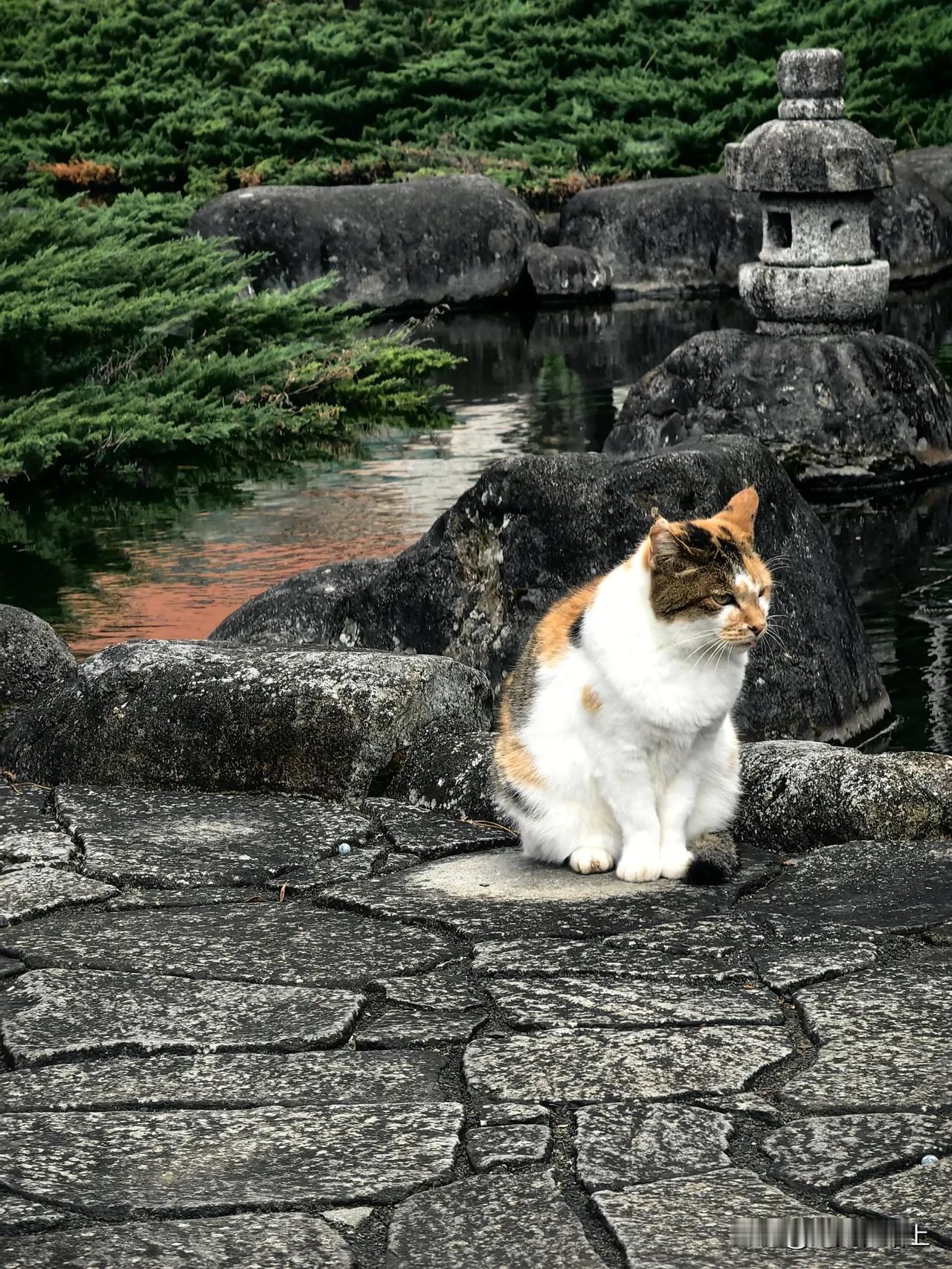 在伊豆半岛看海？

从东京出发，坐新干线，坐到热海站，大概四十多分钟。从热海换乘