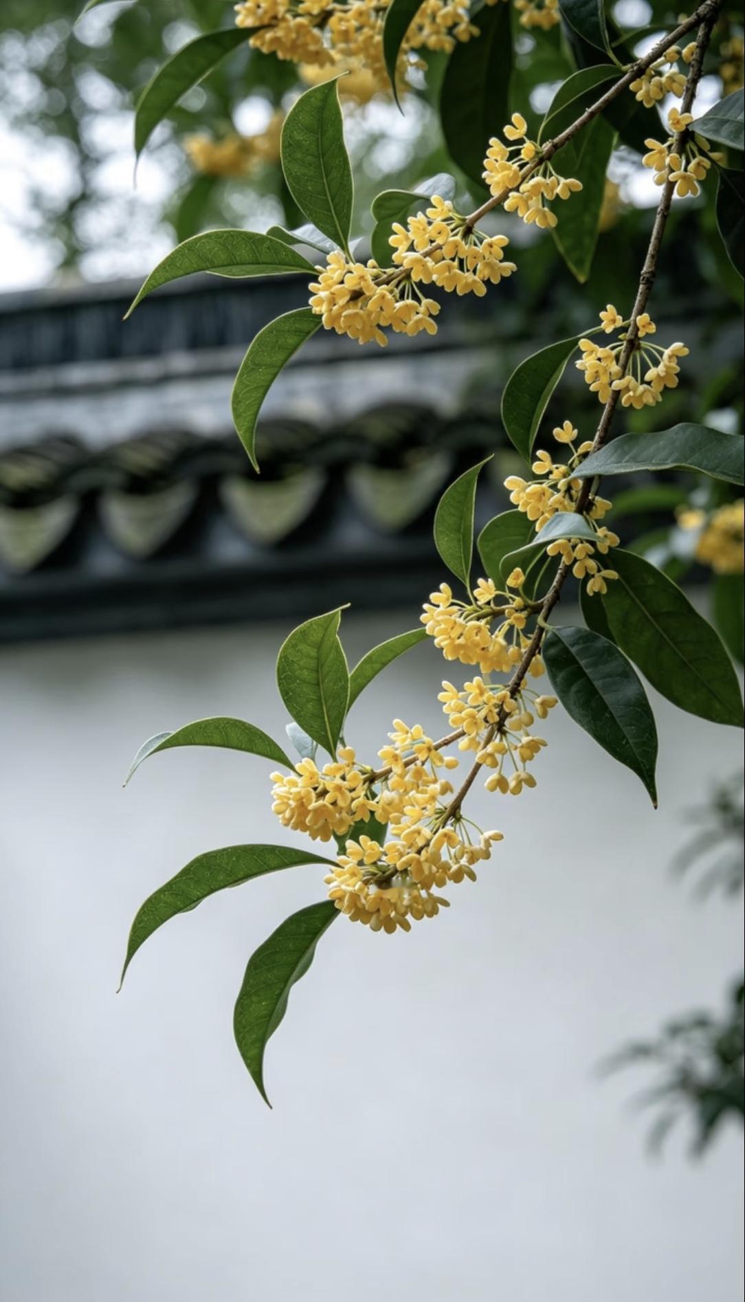 演员吴越谈到婚姻和生育时说，无论外在条件多好，到了合适的年龄，就该考虑结婚、生孩