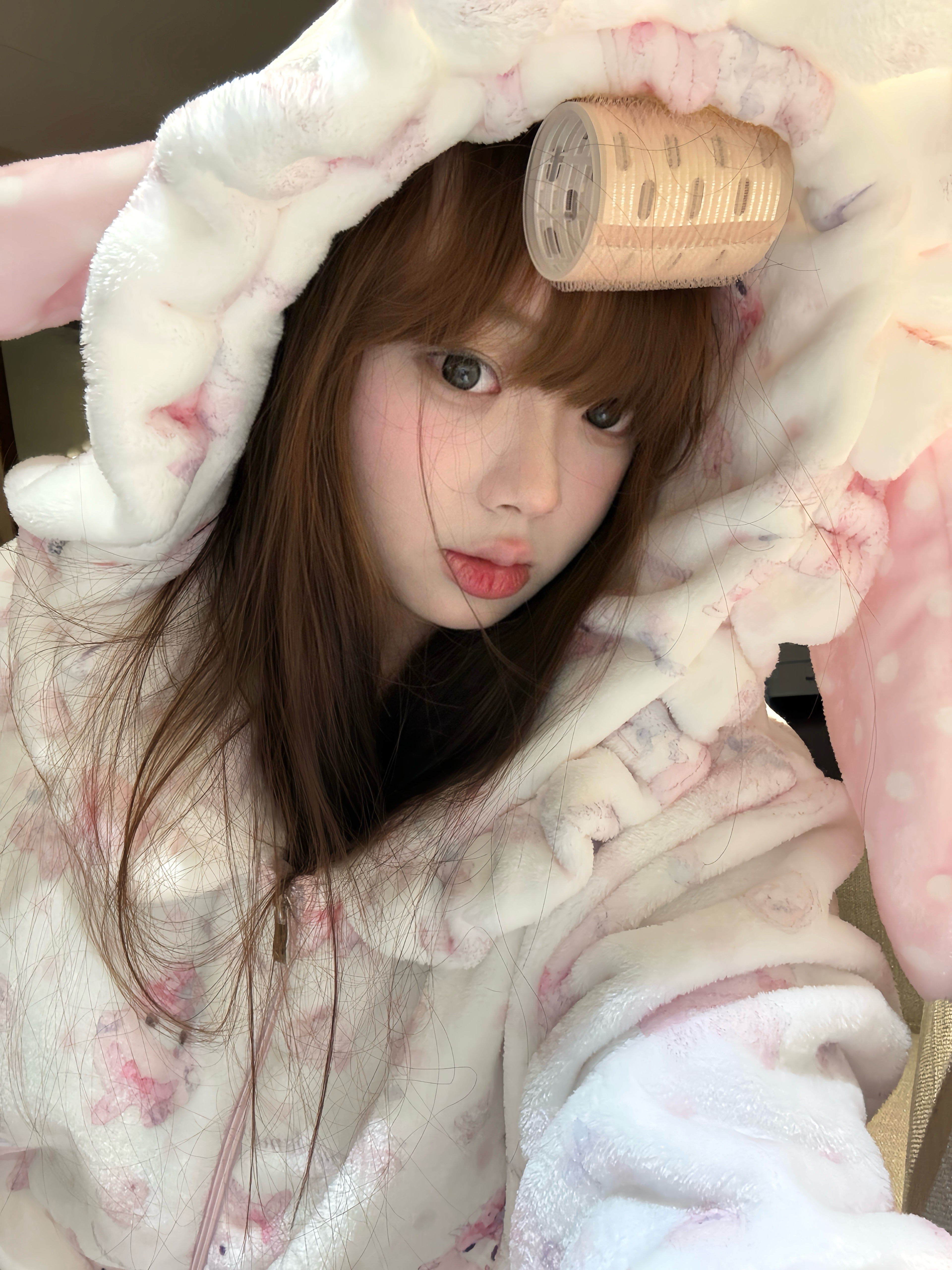 宅宅宅家🐰 ᶻ 𝘇 