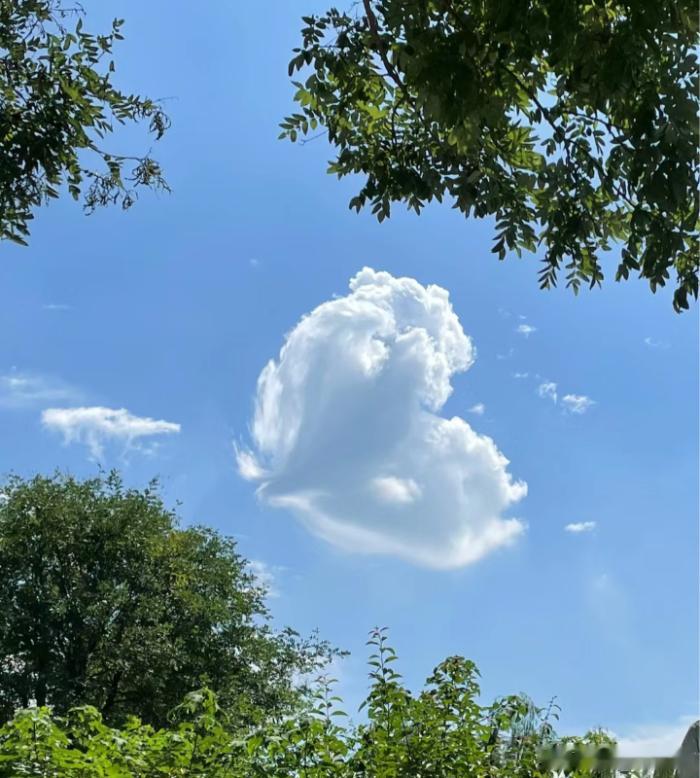 摩登兄弟[超话] 人生的路经历过，才知道有短有长；岁月，在无憾中微笑，才美丽；回