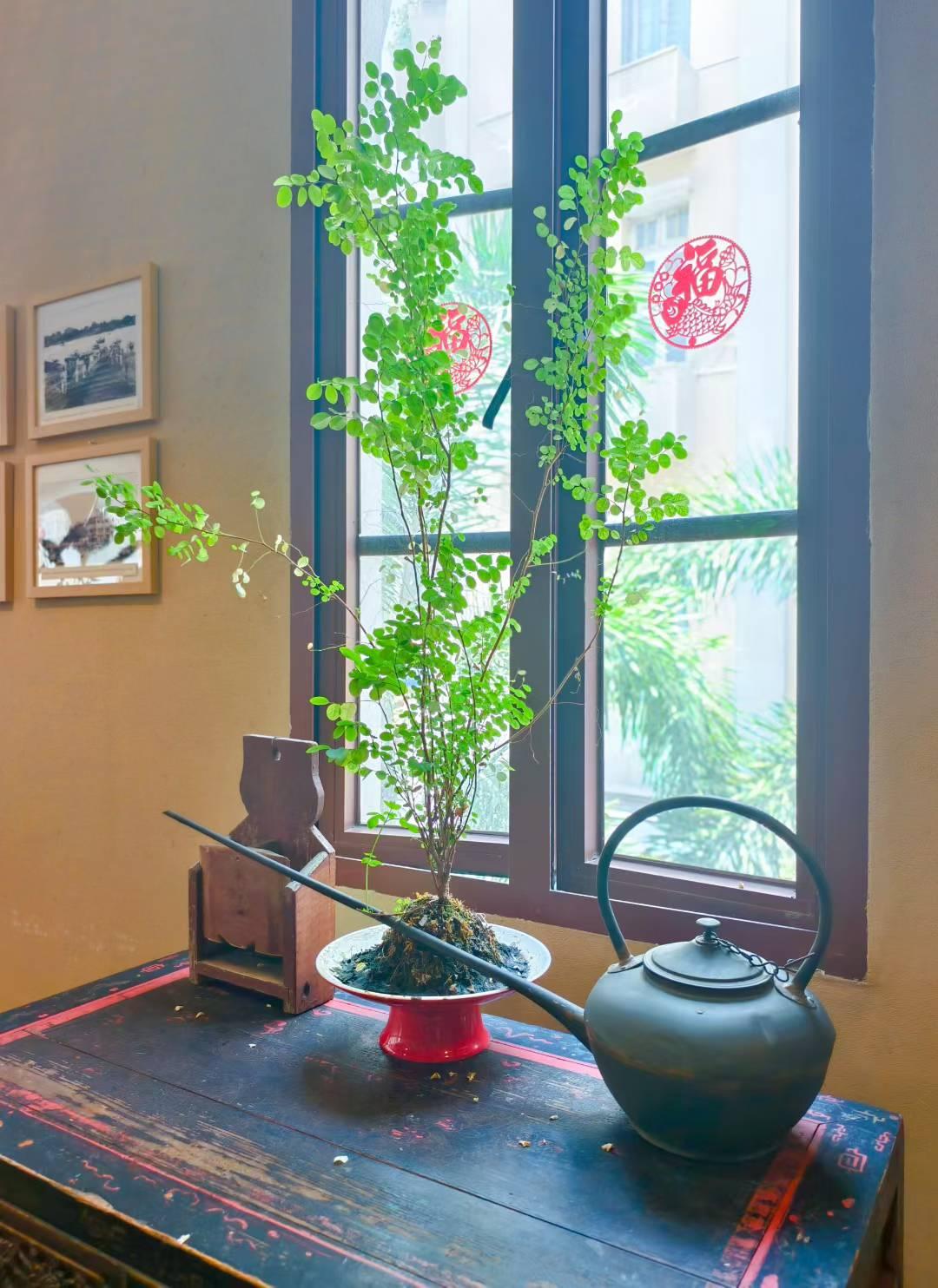 分享几个真正少有人知的实用新技能，手机、电脑都能用，学会效率直接翻倍。
 
1、