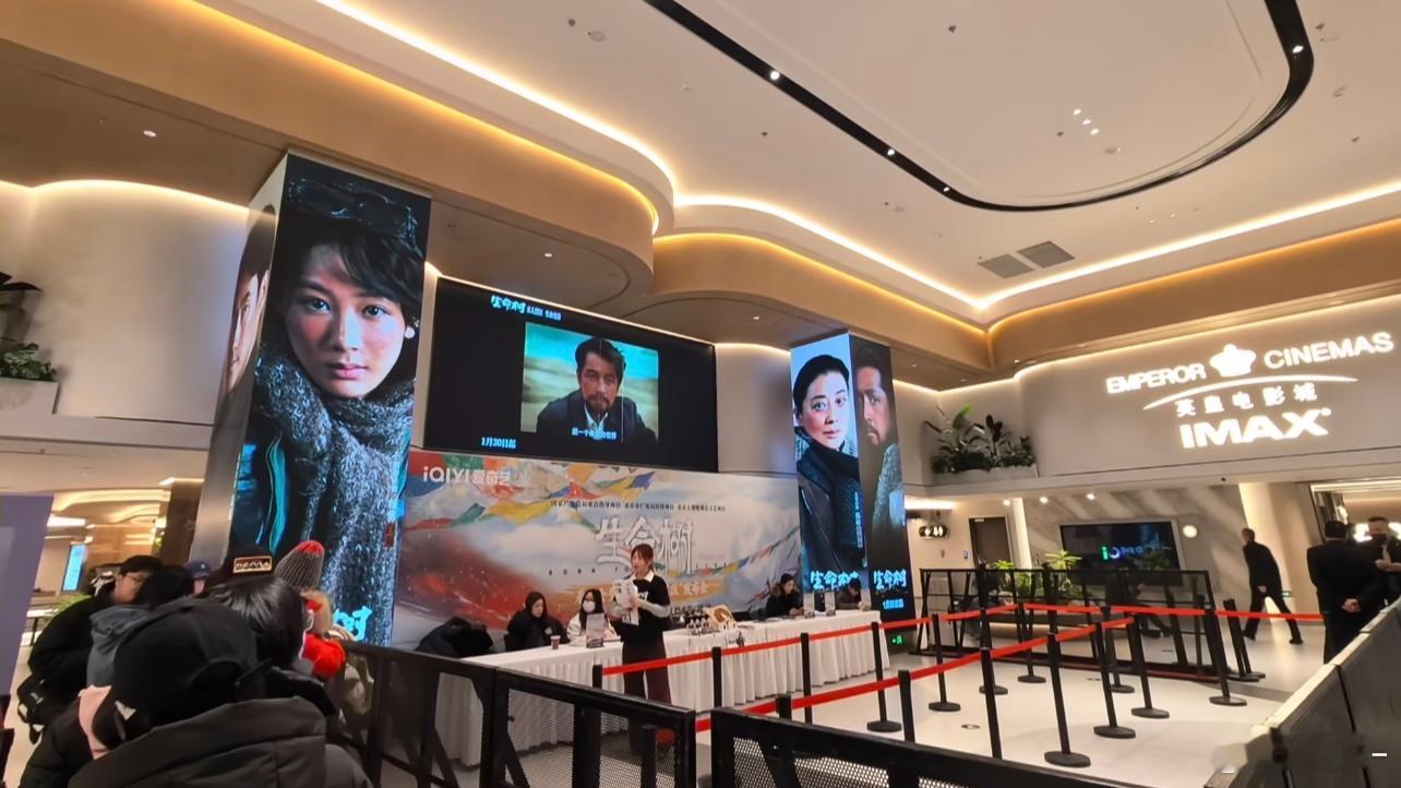 生命树发布会，今天是个好日子，肾上腺素直接飙高 