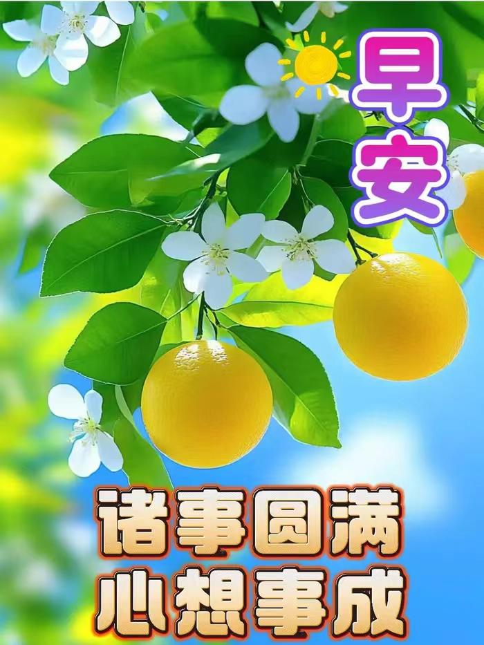 浮生历尽尘劳倦，
桑榆辛得清闲伴。
抛却世间繁，
随心赏岁欢。
寻幽舒体健，
乐