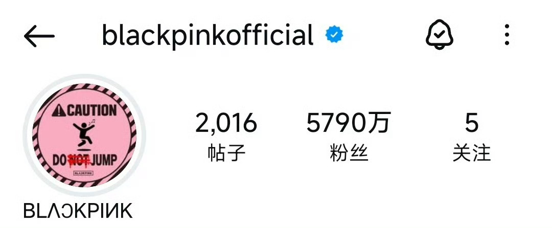 BLACKPINK INS头像更新 ​​​
