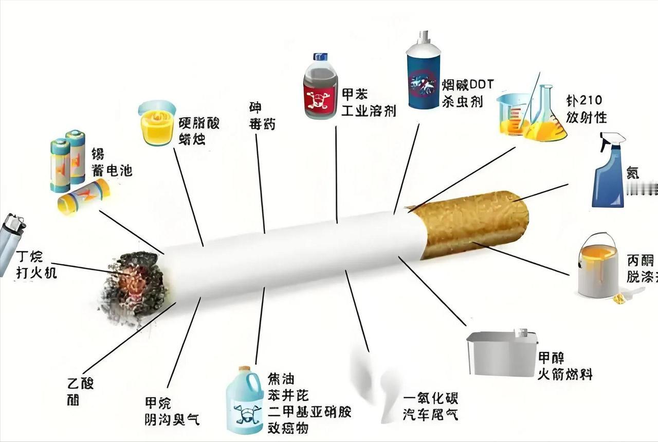 香烟要被洗白！中科院颠覆性研究，尼古丁或具有延缓衰老的作用！

香烟、尼古丁，对