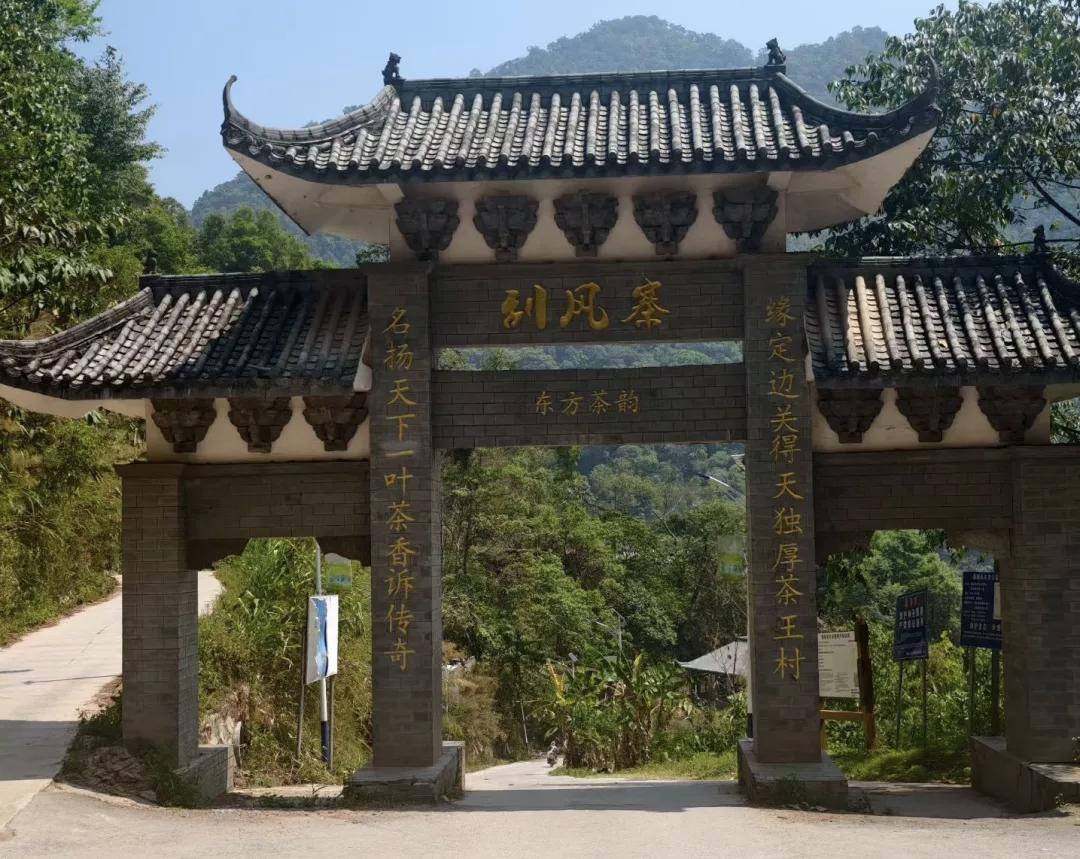 原来真的藏着这样的山野秘境！踩着山林野径往里走，周围全是茂密的丛林，空气里都是自