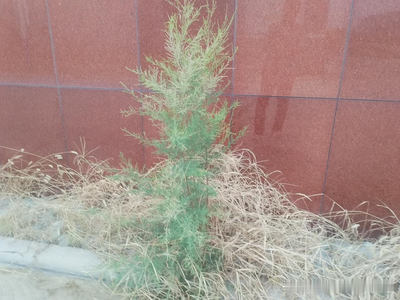 说的有道理支持，同是同命相连人，甘愿不停写下去，何须计较得与失！[握手][握手]