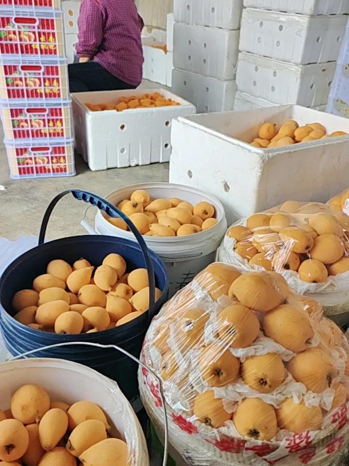 下午抄底了吗？
尾盘进了半导体芯片ETF
下午盘中异动方向：
1. 磷化工午后开