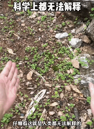 手酸了必须归位，这是自然现象![捂脸]