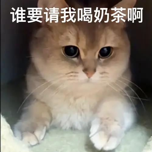 市场的差异化认知和价值风险的认知，导致有人理性，有人疯狂，有人
