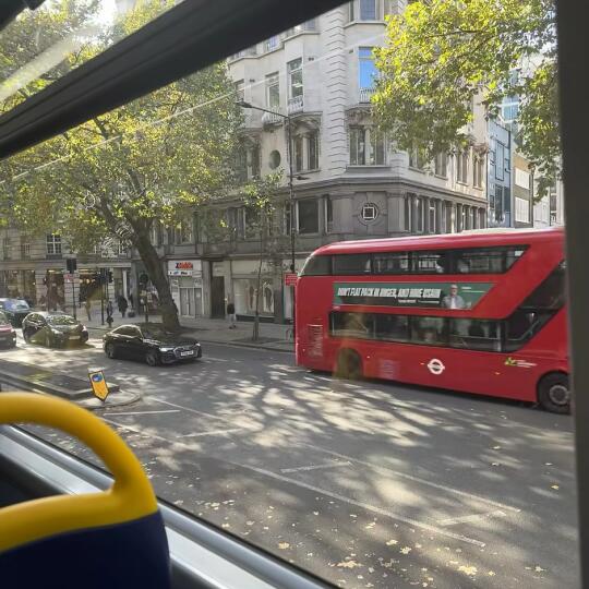 我是被你囚禁的鸟