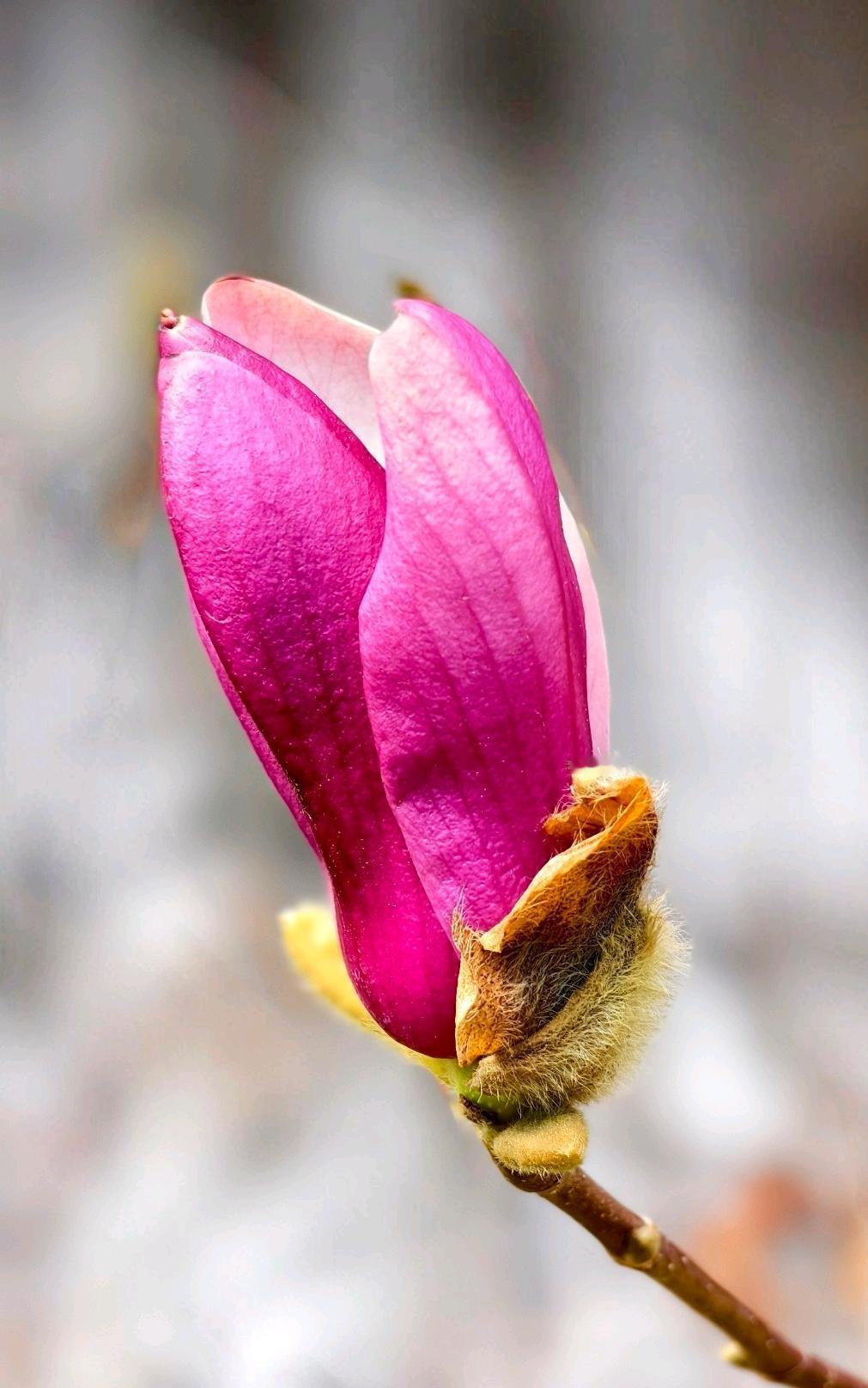 这世界上有很多聚散，都不是因为爱和不爱，而是权衡利弊后的结果，所以别难过，别让别