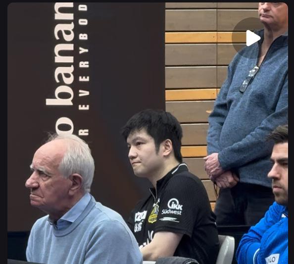 樊振东一单二分助萨尔布吕肯3:1格瑞扎东哥还是那么牛！
2月11日凌晨两点，
樊