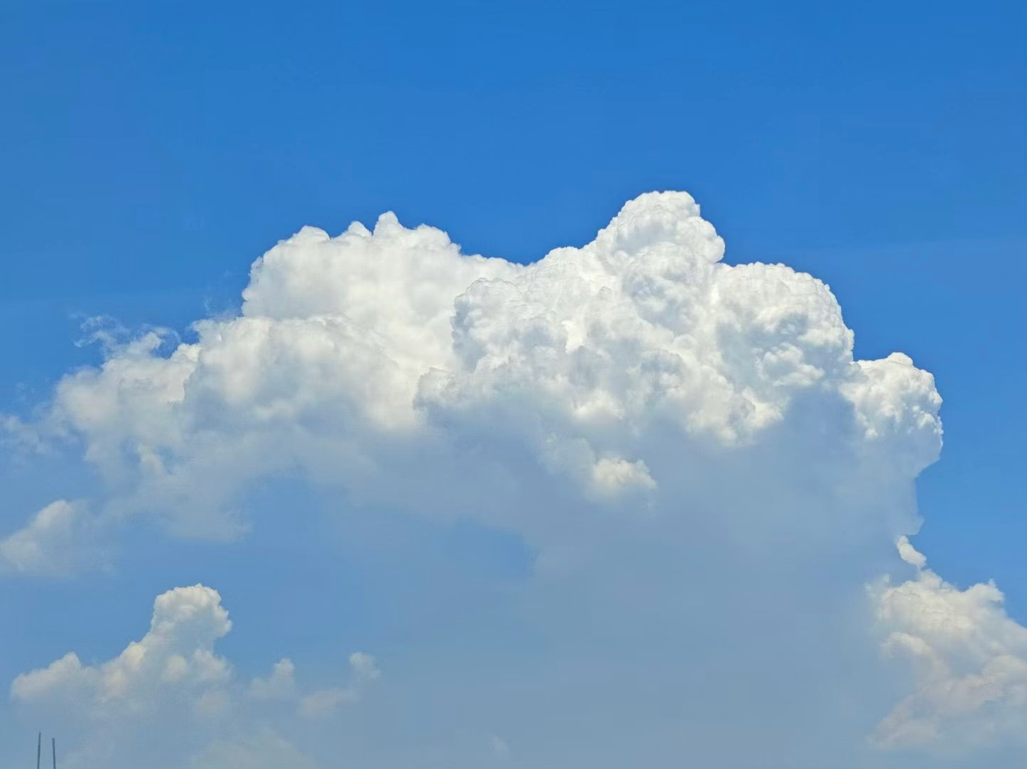 最近的☁️都是一大团一大团的超级美有时候我就和柚子哥哥、可爱多一起看云在山里的时