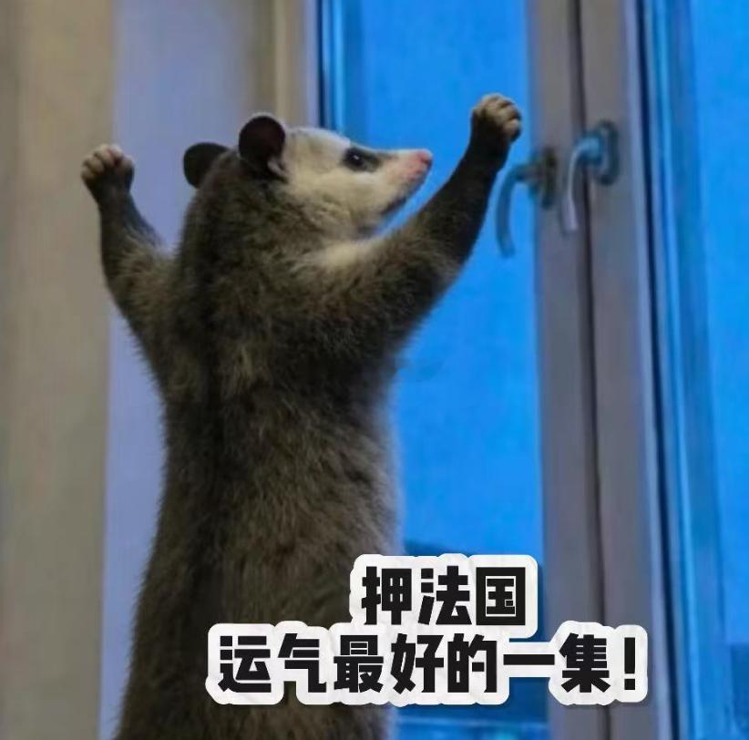 胜利不是一种状态，而是一种选择；不是一阵风的运气，而是一场漫长的长跑。法国VS西