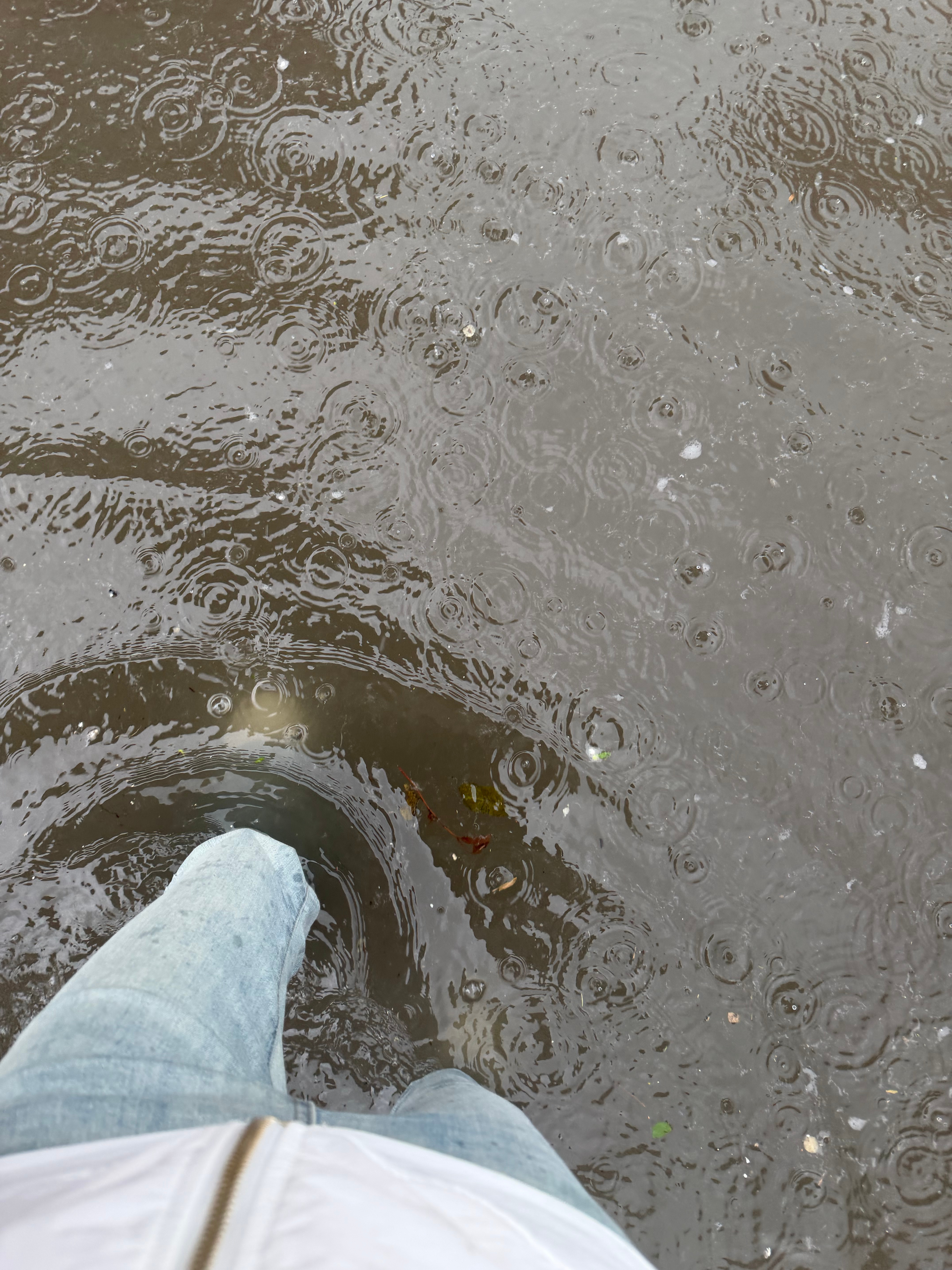 ☔️ 
