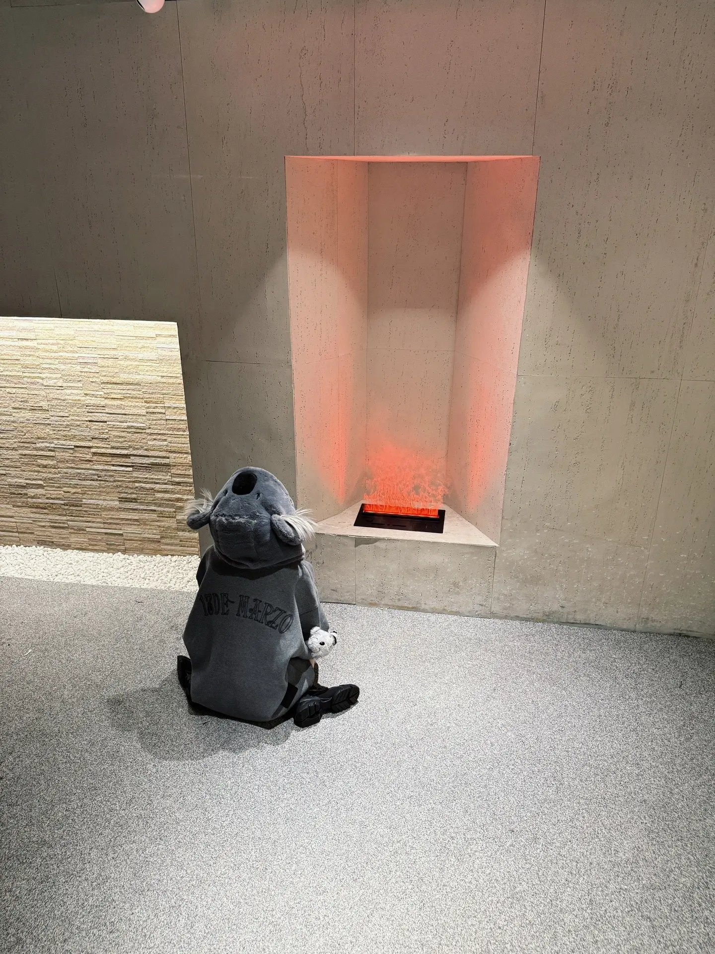 相机是我的笔 照片是我今天的日记