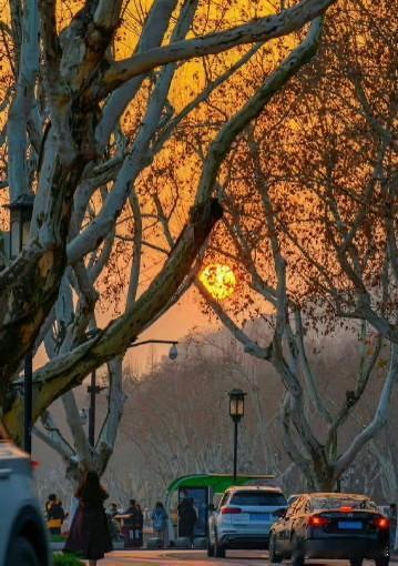 投资成败，最关键的一点是人性而不是专业。洞悉了人性，才能深刻理解市场的泡沫和萧条