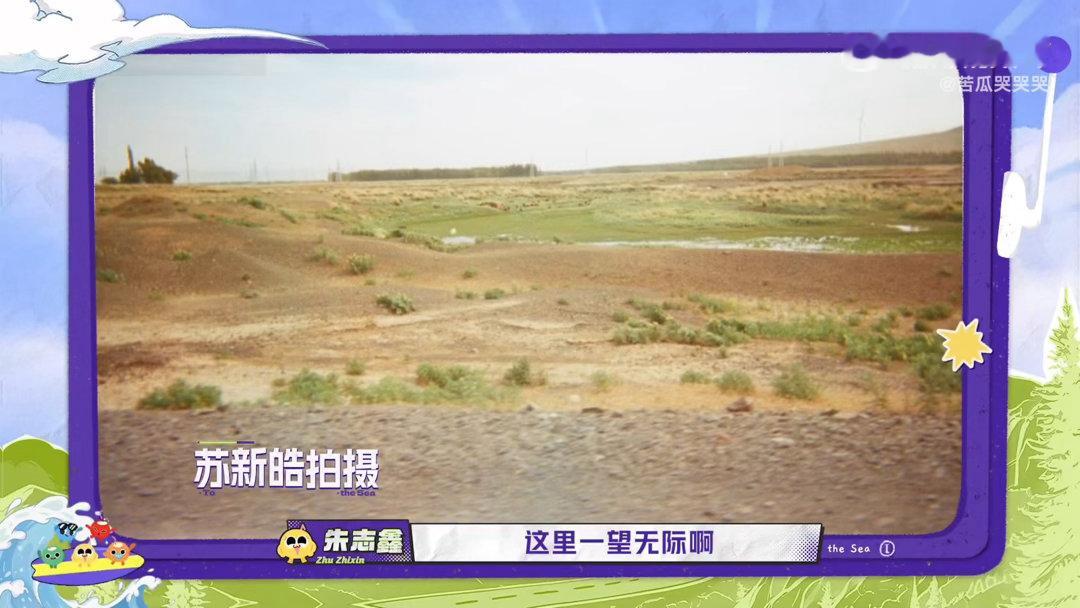 苏新皓说社交任务可以交给我采访里苏新皓尽显外向特质，主动扛起社交相关任务，幽默自