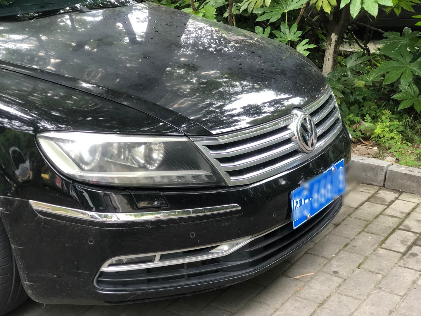 汽车汽车街拍我与汽车的日常大众辉腾 本地一手辉腾。低调奢华有内涵 安康