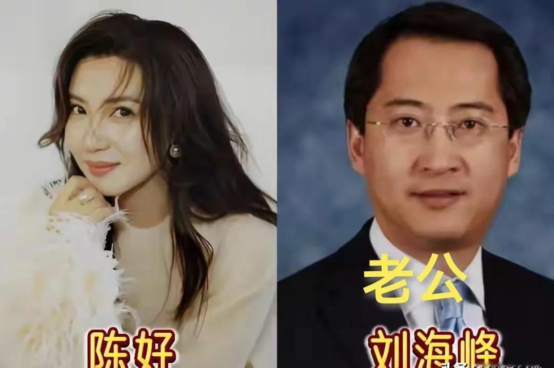 嫁进豪门的女明星，真都过得好吗？
别被表面光鲜骗了。
陈好离婚后，转身就当老师，