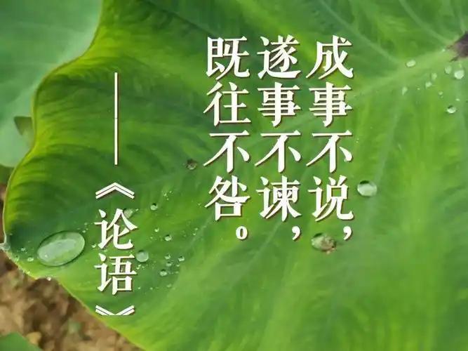 “成事不说，遂事不谏，既往不咎。”——出自孔子《论语·八佾》，这不仅是为人处世的