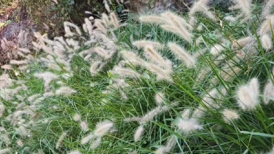 #秋日生活打卡季#