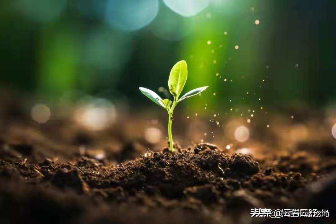 今天是九九的最后一天，冬去春来，吟诗一首
《感春》

九九消寒终尽冬，
春风暗递