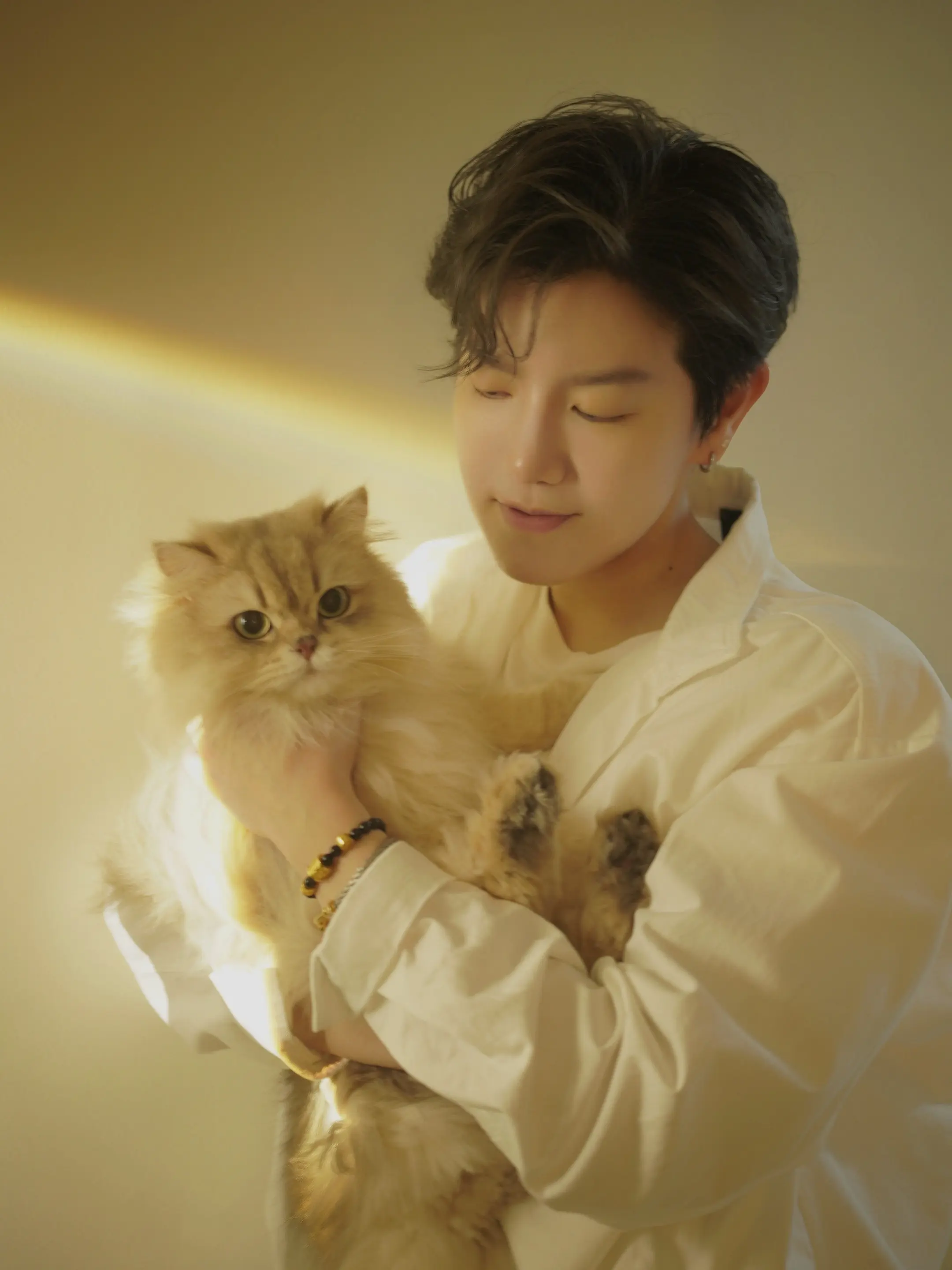 春日 猫咪 等你。