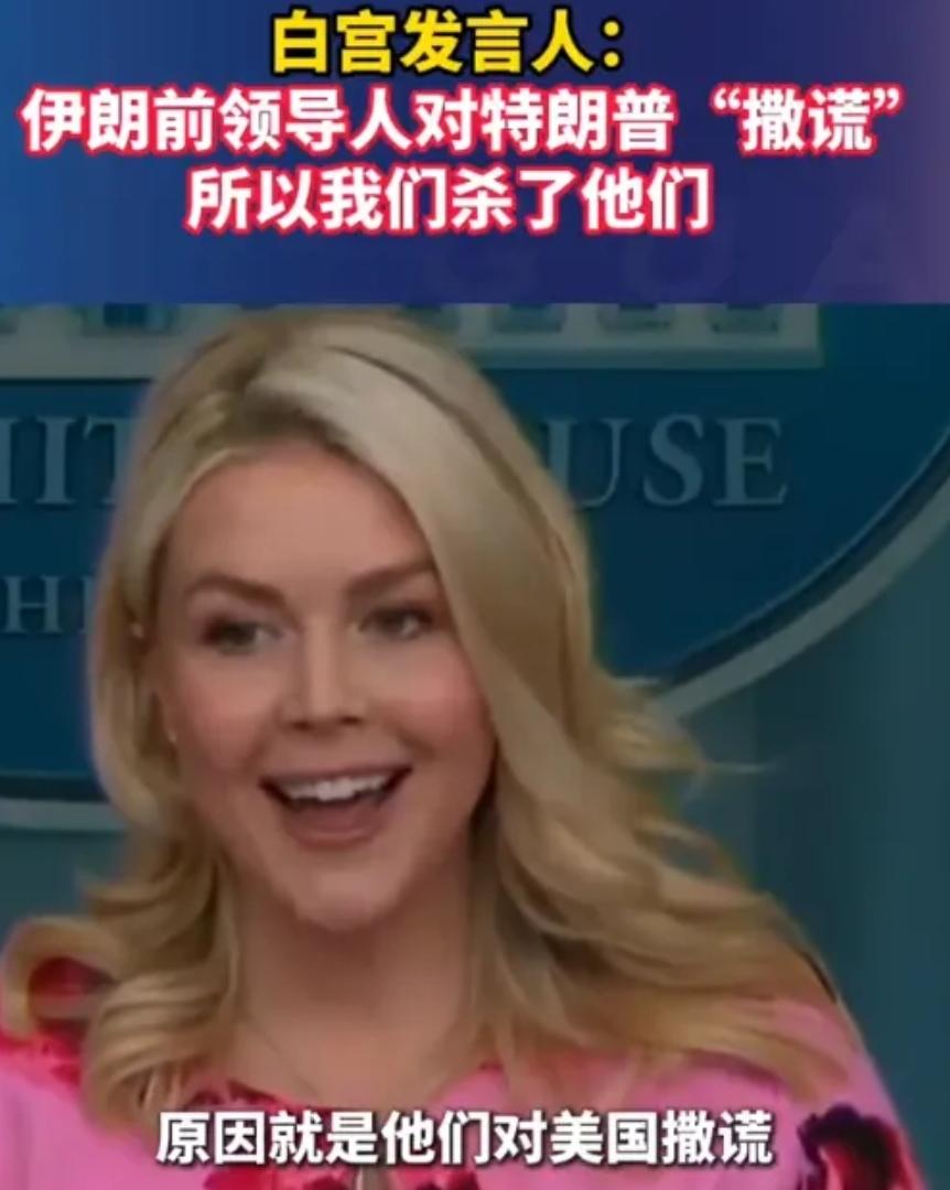 “撒谎？所以就杀了？”——好一个美式“法治精神”

白宫发言人这话说得够直白：因