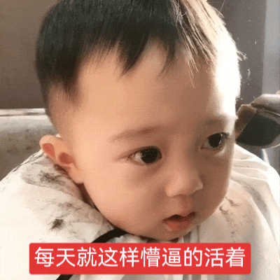 表情包 呆萌俊表情包 (ᗜ ˰ ᗜ) 