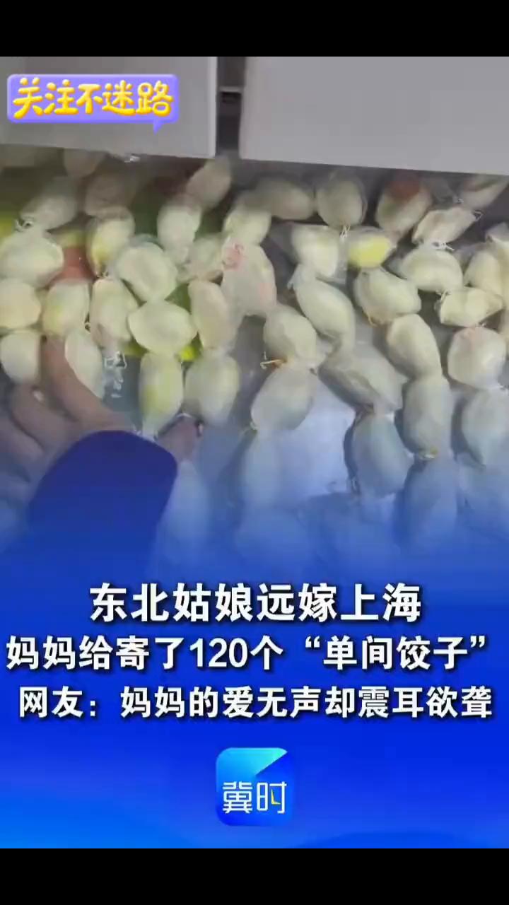 东北姑娘远嫁上海，妈妈给寄了120个"单间饺子"。网友：妈妈的爱无声却震耳欲聋。