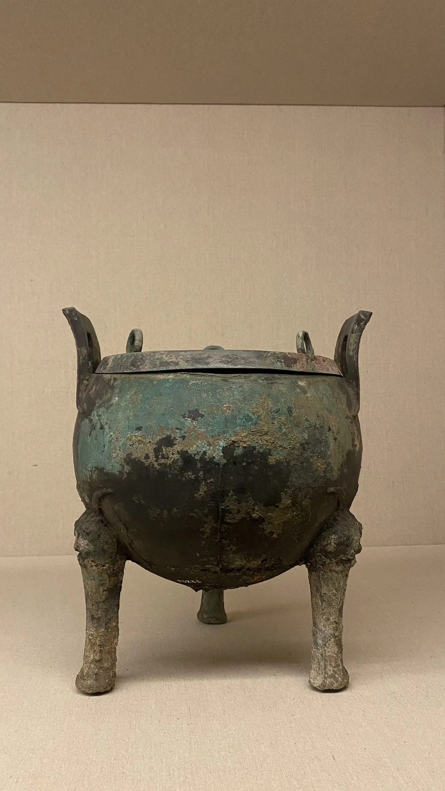 怎么样，漂亮吗