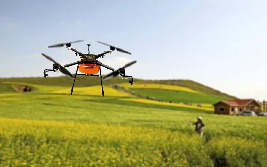 科技加持让春日麦田“节节高” 农旅融合激活乡村经济

春日里，广袤的田野上，麦浪