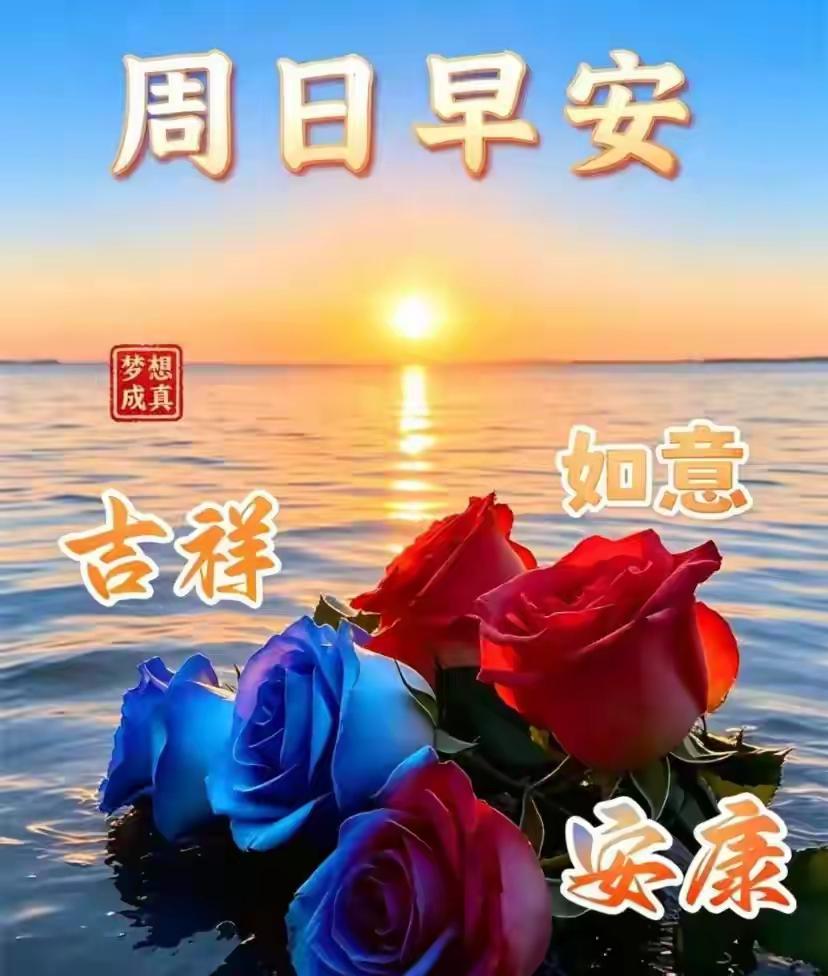 清晨的早安，是一份简单的小美好。
 
周日，放下一周的奔波，慢下来感受秋日的温柔