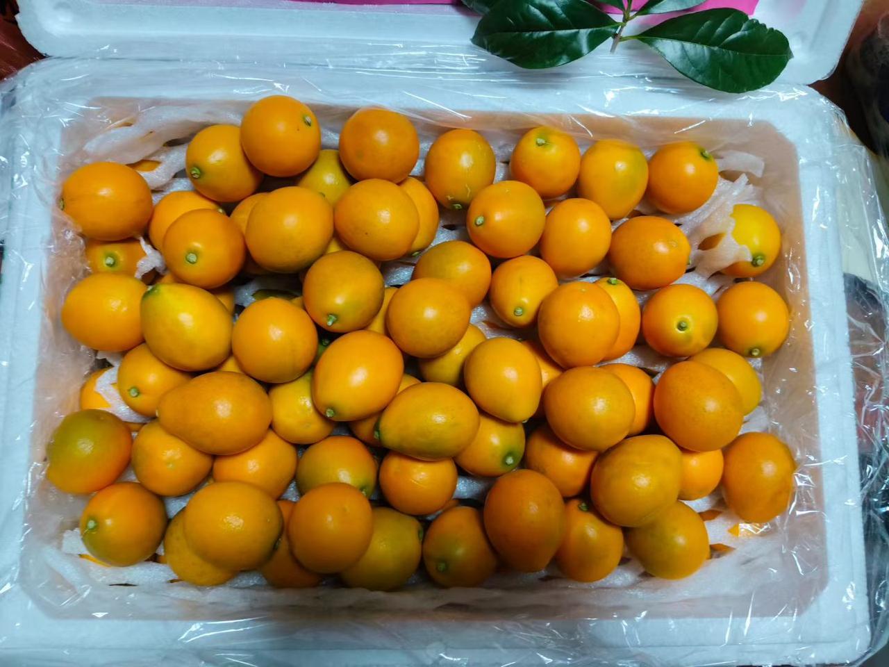 能让别人开心的人
心里藏着温柔与善良
能让自己开心的人
脑子装着通透与智慧
真正