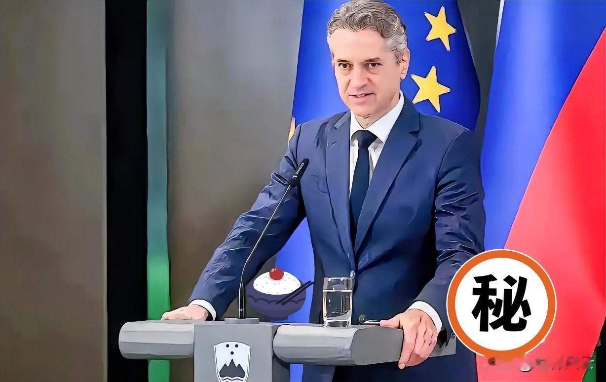 荷兰接二连三的迎接来自中国的反击，想学美国红萝卜加大棒，你荷兰还不够格！
​安世