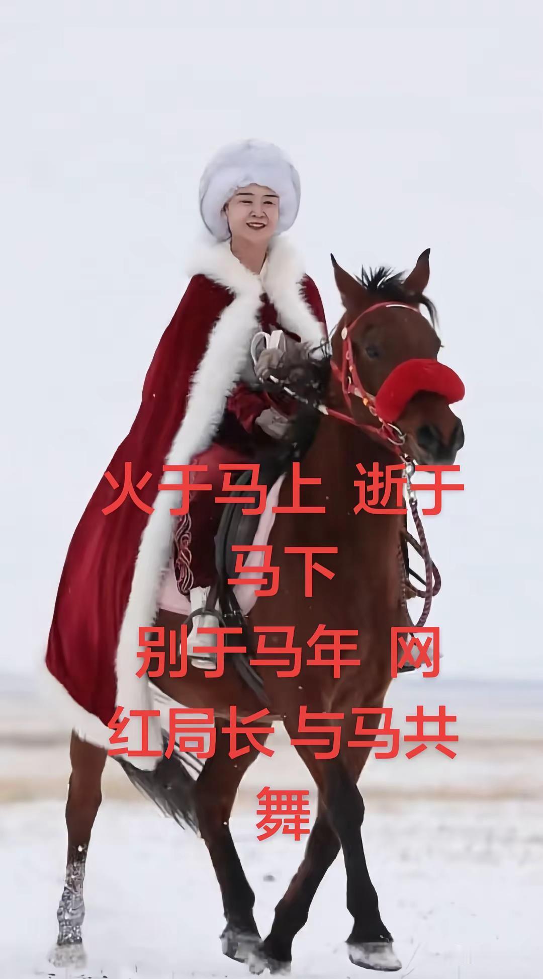 与马共舞 舞动人生