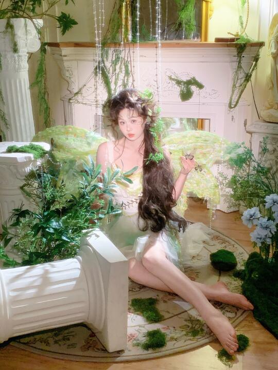 绿蝴蝶