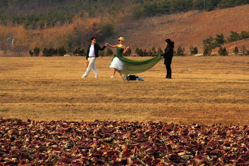 腊月十九
腊月四九一日晴，
明年春寒十日冰。
农谚是否可成真，
气温反常也弄人。