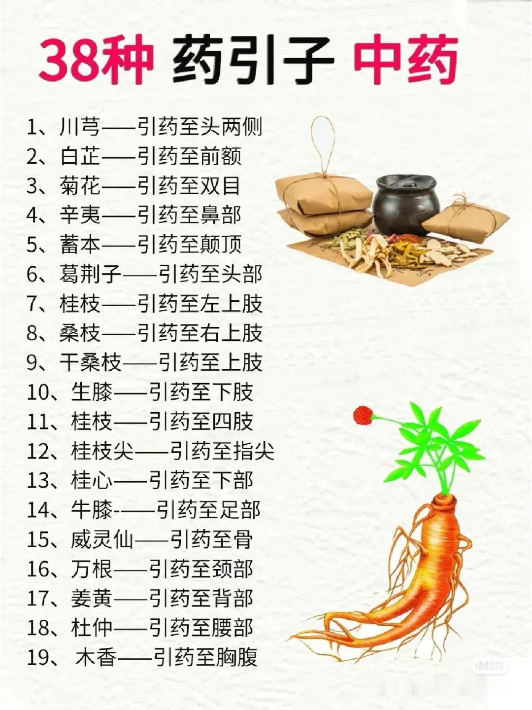 药引子的重要性你知道吗？它们能引导药效直达病灶，让你的中药效果翻倍！今天就来给大