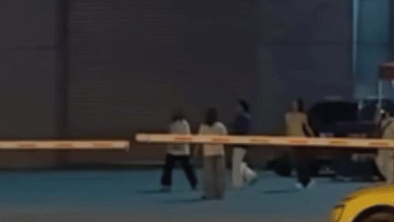 瑶台月下我仅用一秒就嗑上了，不是，她们俩怎么那么好磕？？？ 