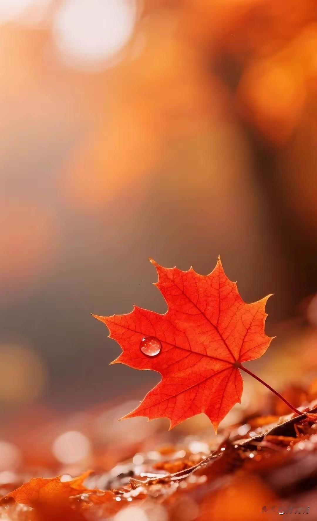 感觉个别人是来头条发泄的，一言不合就开怼

说的话要多难听有多难听

你不搭理人