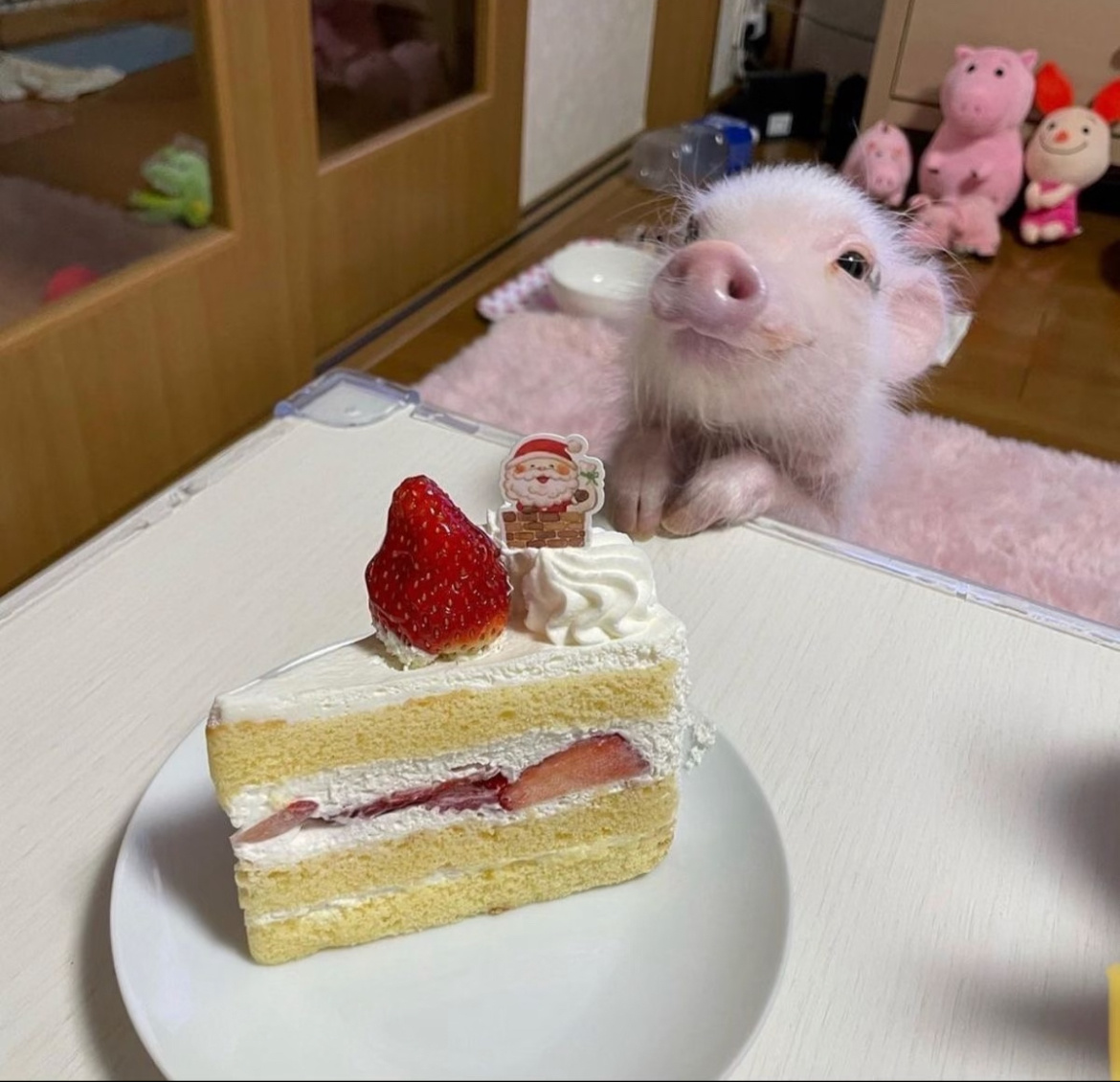 假期我就这样，游泳逛街吃美食！国庆假期猪猪头像 ​​​