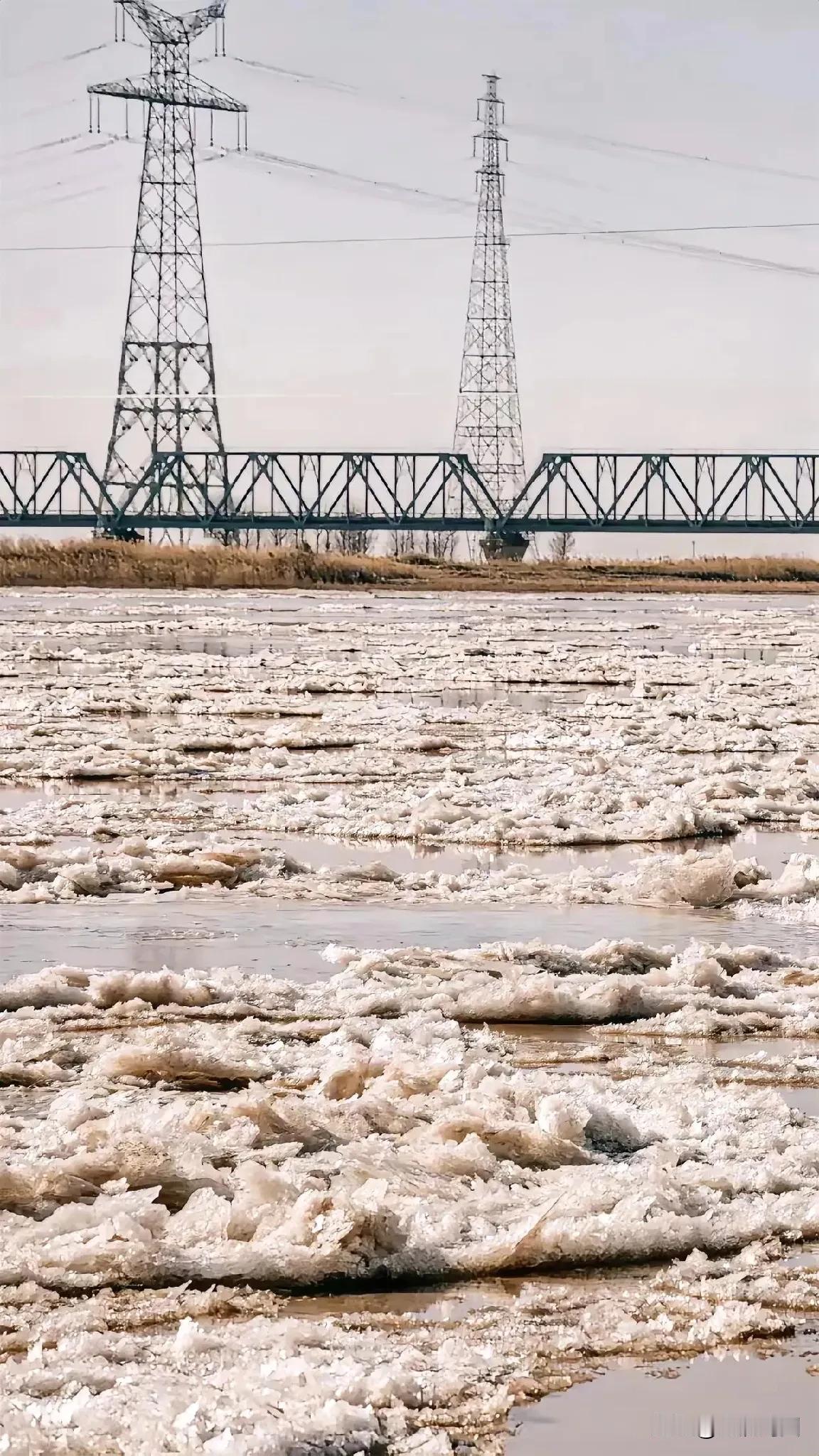 包头黄河流凌的景象，着实壮观至极！2025年11月27日流凌首日，大片冰块仿若玉