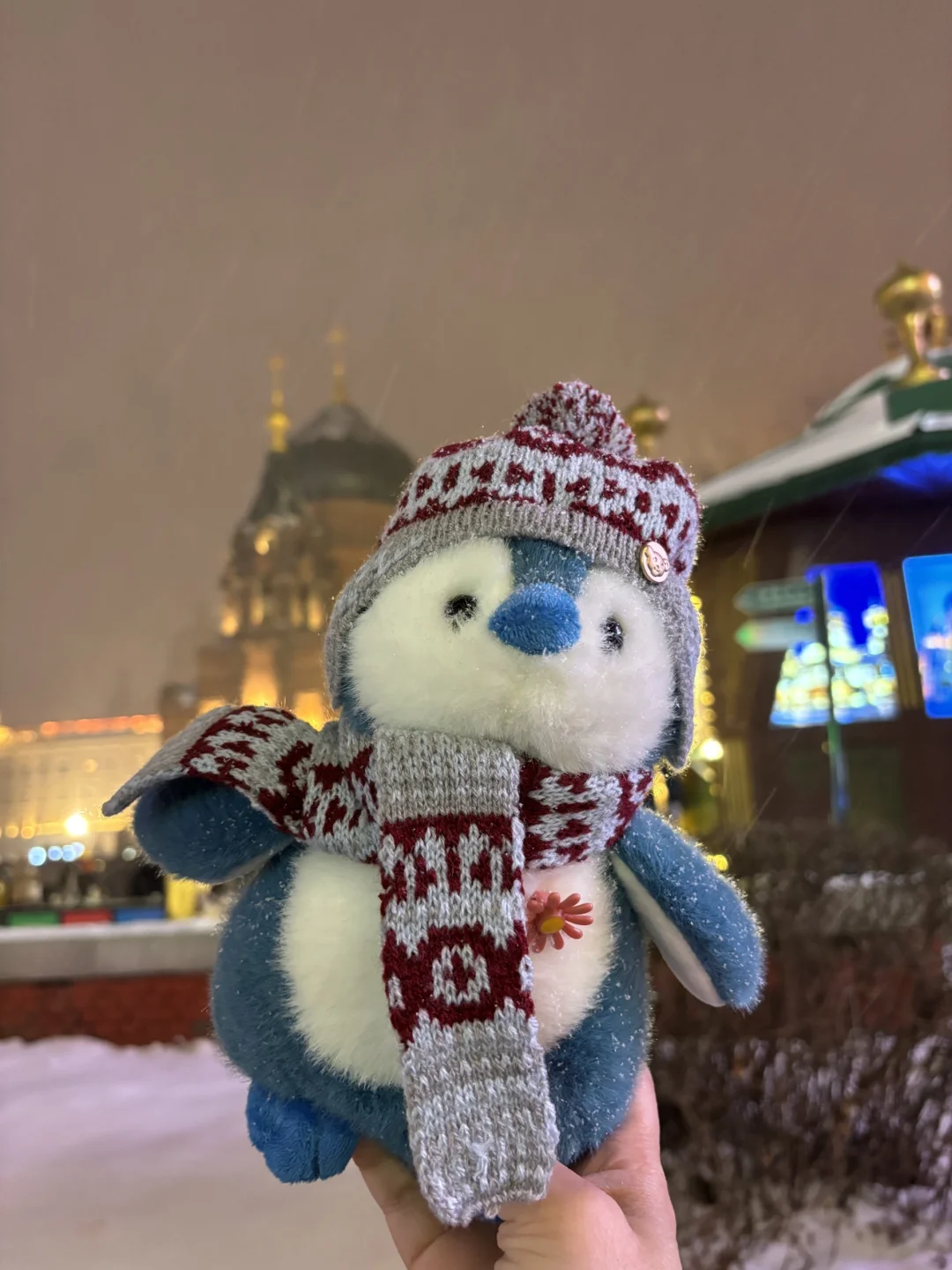 哈尔滨的本地鹅简直太可爱了